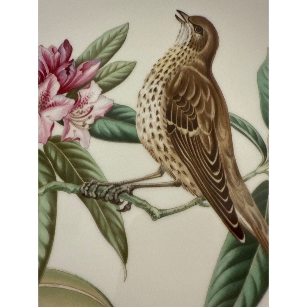 Spode Garden Birds Plate No. 5 of 6 Mistle Thrush Plate England Gold Trim 9.5" - Picture 7 of 7